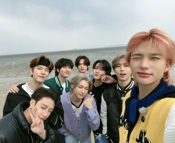 В этом тесте,ты можешь проверить свои знания группы Stray kids.