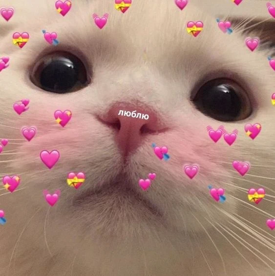 <3 <3