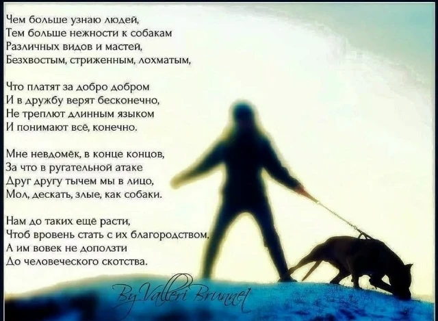 История о том почему животных я люблю больше, чем людей История о том почему животных я люблю больше, чем людей
