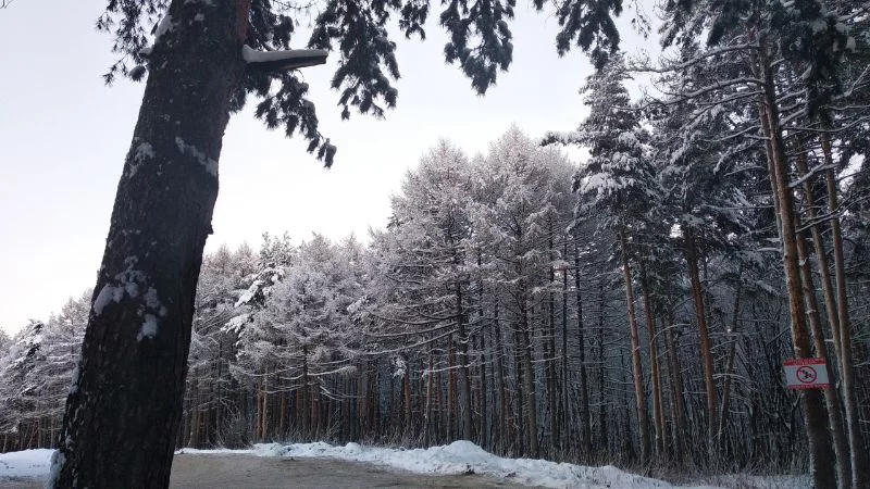 Зима. Люблю и Ненавижу Зима. Люблю и Ненавижу