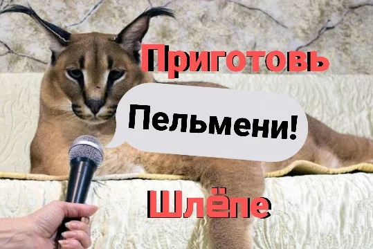 Вы недавно устроились на личного повара для Шлëпы. Готовить ему лень, а значит вы должны утолять его голод! Сегодня для вас предстоит очень сложная задача - приготовить пельмени. Удачи!