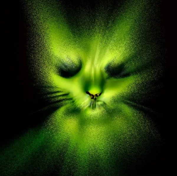 Тест-турнир Лучший трек Fabian