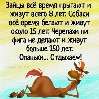 Интересно и смешно! Интересно и смешно!