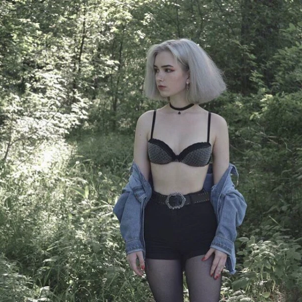 гуси-лебеди