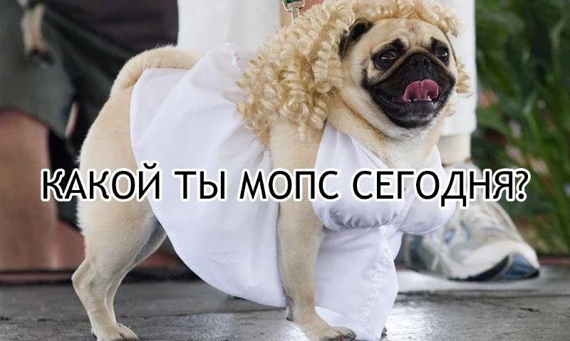 Иду побеждать на конкурсе! Иду побеждать на конкурсе!