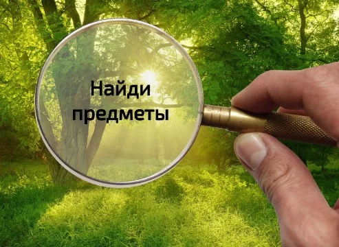 В связи с невероятным стечением обстоятельств вы попали в лес. Ваша задача найти определенные предметы. Будьте внимательны, ведь на кону стоит ваша жизнь.