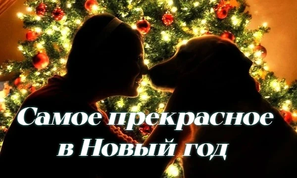 Что из всего перечисленного придаст вам больше веселого новогоднего настроения? Всех с наступающим Новый годом! 