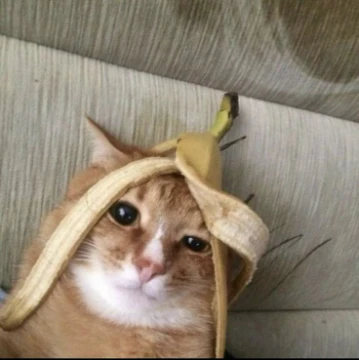 ювочинг лучший