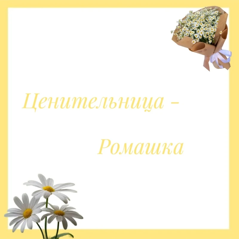 ♡︎ Ценительница ♡︎ ♡︎ Ценительница ♡︎