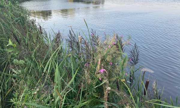 Тут будут фотки, которые сделаны не только где-то на природе, а возможно даже в городе, но на фотке главное - красота природы. 