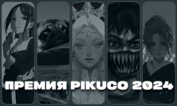 Pikuco - разносторонний и многогранный ресурс. Здесь собралось много хороших авторов, красноречивых комментаторов и просто приятных людей. Но кто же является лучшим в каждой отдельно взятой категории?