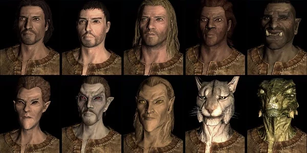 Тут собраны все, известные расы Нирна (серия The Elder scrolls). А ещё, это мой юбилейный, десятый тест :)