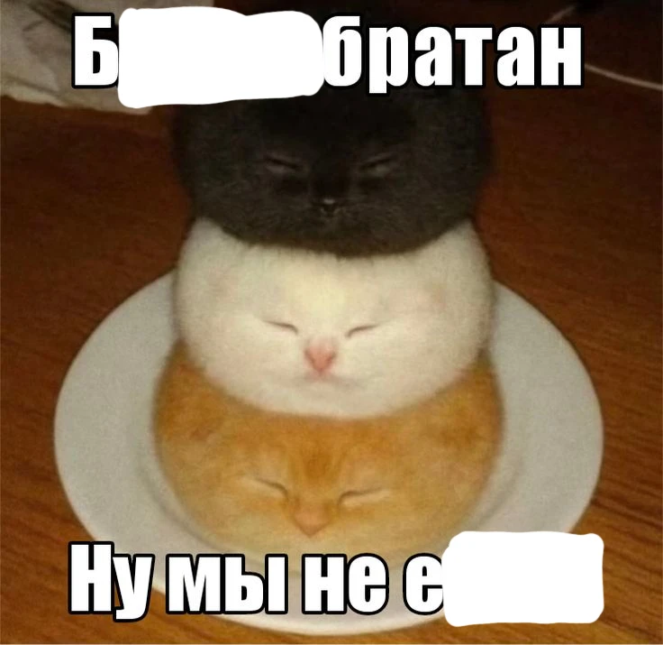 *зацензурил мат*. *зацензурил мат*.