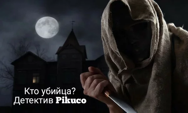На платформе Pikuco произошло убийство. Есть свидетель, который не знает имя убийцы, но знает о нем некоторые факты. Путем допроса узнайте - кто же является загадочным убийцей.