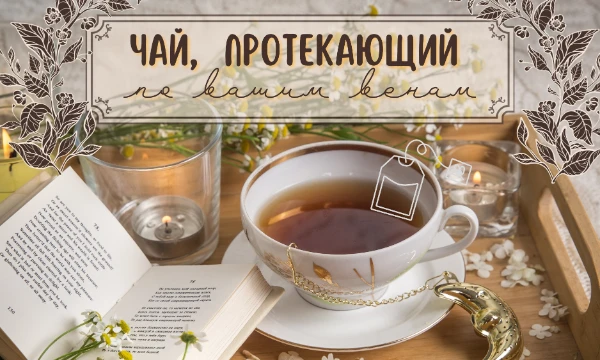 ✩｡:*•. ...Чаепитие обладает редким достоинством: вносить в наше абсурдное существование частицу спокойной гармонии. .•*:｡✩ Этот тест поможет тебе понять, какой чай протекает внутри тебя.