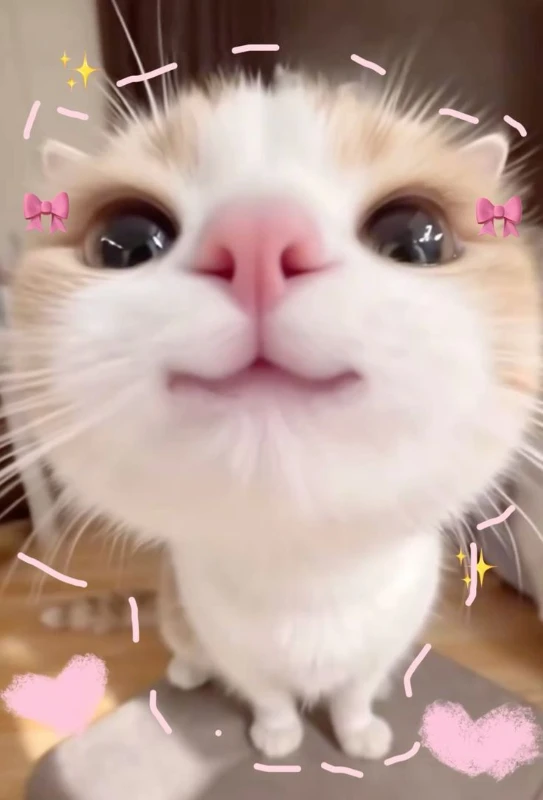 Она тоже красотка <3 Она тоже красотка <3