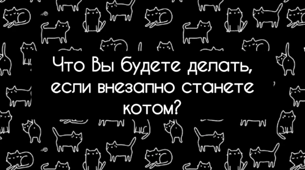 Это прозвучит немного странно, но представим, что Вы внезапно превратились в кота. Чем Вы будете заниматься? Что сможет Вас увлечь в новой пушистой жизни? 🐾