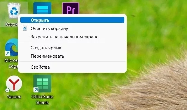 Шаг 1. Откройте корзину. (Именно в этом месте обитают все нерадивые отцы) Шаг 1. Откройте корзину. (Именно в этом месте обитают все нерадивые отцы)