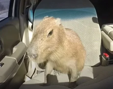 Вы долго ждали
