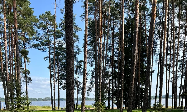 Тут будут фотки, которые сделаны не только где-то на природе, а возможно даже в городе, но на фотке главное - красота природы. 
