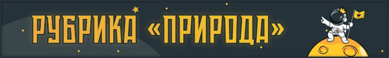 Топ-25 пользователей по прохождению тестов в каждой из рубрик Pikuco Топ-25 пользователей по прохождению тестов в каждой из рубрик Pikuco
