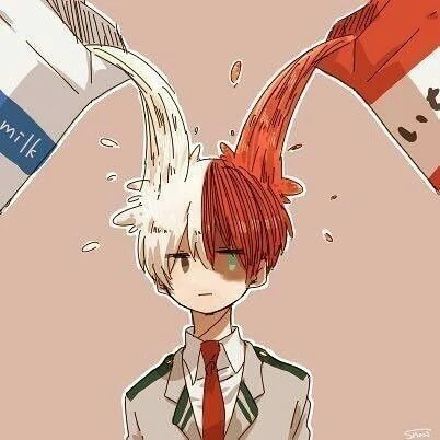 PLUS ULTRA