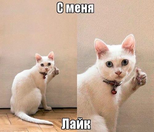 Вот это настрой! Вот это настрой! 