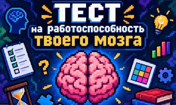 Ты когда нибудь задумывался, как быстро работает твой мозг? Обладает ли он реакцией? внимательностью? Или хотя бы хорошей памятью? В этом тесте, ты проверишь, насколько твой мозг хорошо работает!