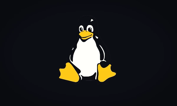 Вопросы теста завязаны на твои знания различных дистрибутивов GNU/Linux и GNU/Linux-libre, включая их особенности, историю и отличия. (Довольно сложно)