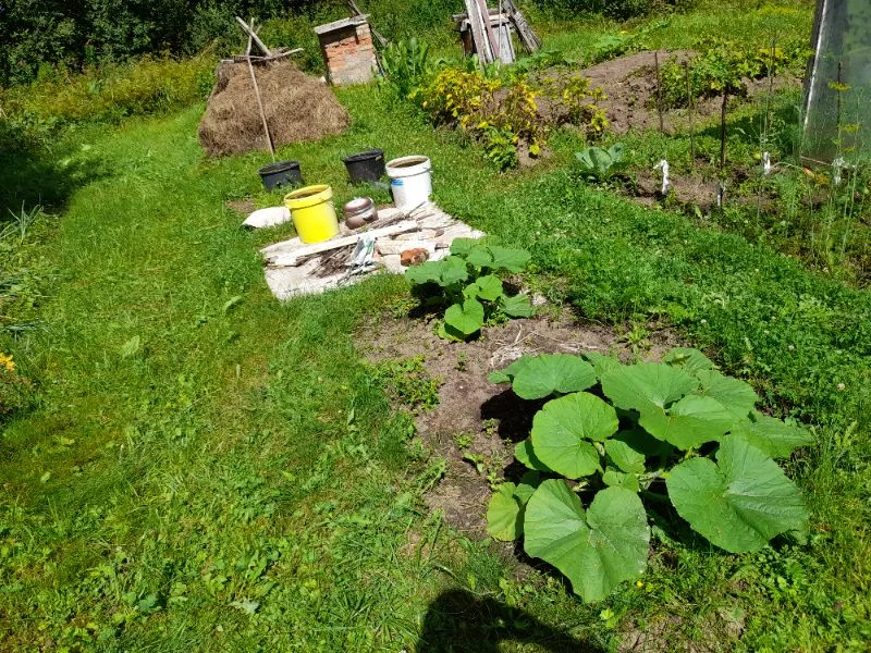 Вид с начала тропинки👀 Здесь видны тыквы, вёдра, сено и печка(почти как в майне)👀 Вид с начала тропинки👀 Здесь видны тыквы, вёдра, сено и печка(почти как в майне)👀