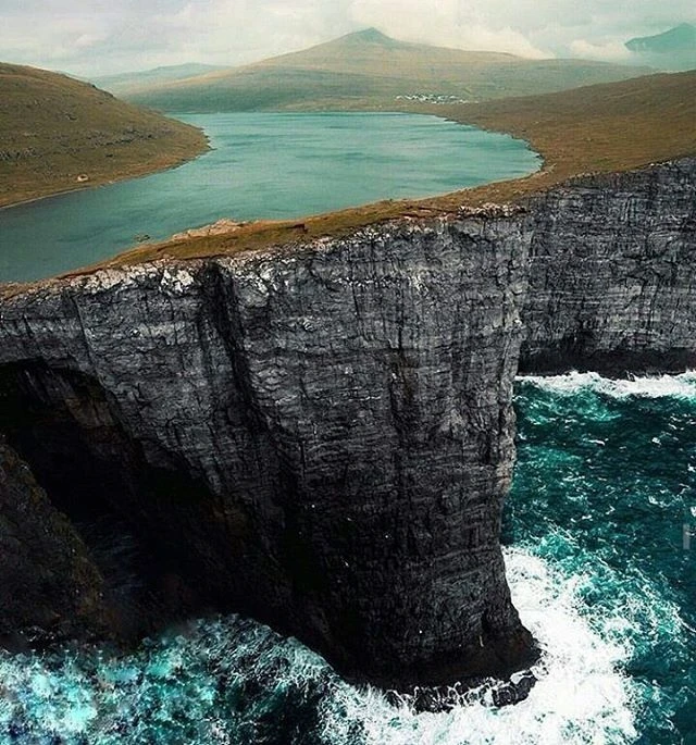 Красота Красота