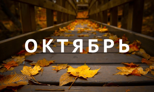 Тренируем скорость печати!                                                                                  
