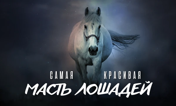 Масть лошади — это одновременное сочетание цвета кожи лошади и окраса ее волосяного покрова. Выбери самую красивую масть. Приятного прохождения!