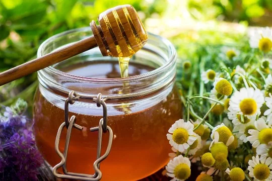 я собрал много классов различной еды и напитков например овощи, фрукты и другое с напитками тоже самое но их меньше ведь ну много так не разделишь и в каждом таком классе я взял 3 моих самых любимых