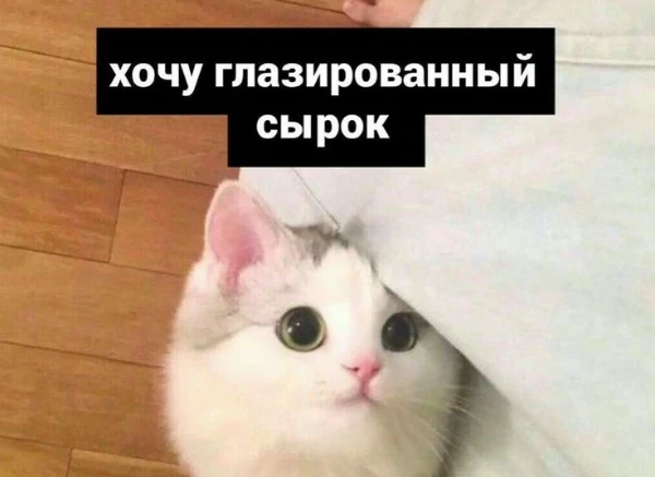 в этом текстовом древе тебе предстоит приготовить сырок. весело проведешь время и научишься готовить сырки. ну, что же, давай начинать!