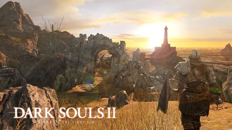 3 - место: Dark Souls II, время в игре - около 250+ часов 3 - место: Dark Souls II, время в игре - около 250+ часов