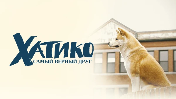 Здесь представлено множество интересных фильмов. От всем известной классики до полного артхауса. Объединяет их то, что все эти фильмы я люблю