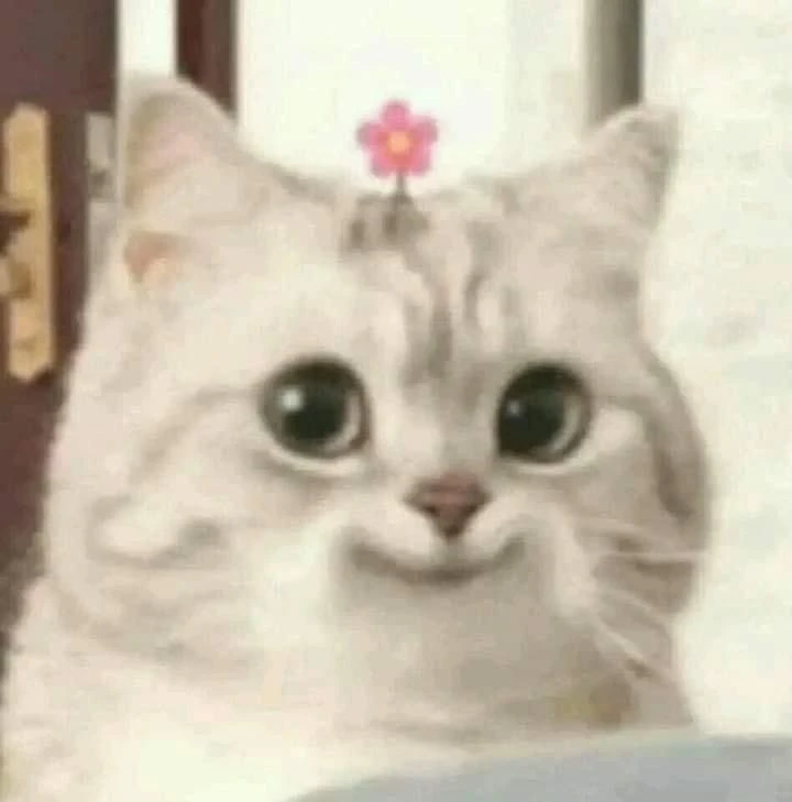 Смайл Фейс Смайл Фейс