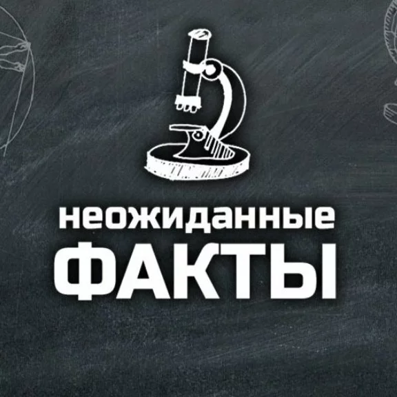 2-я подборка фактов. Вам вновь предстоит выбрать тот, который заставил ваши глаза немного сместиться вперёд, а мозг -  загуглить этот факт. Напишите комментарий с отзывом и пройдите 1-ю часть.