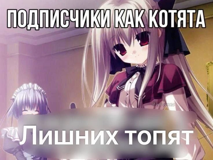 Перенос крайнего срока подачи работ на конкурс мемов | Мемы Перенос крайнего срока подачи работ на конкурс мемов | Мемы