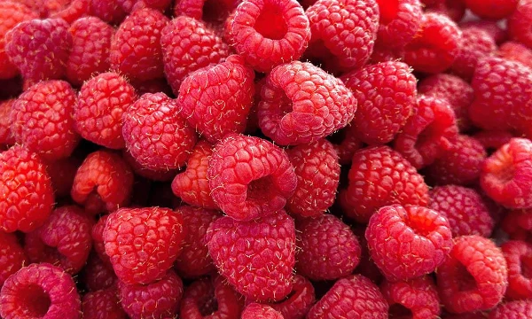 Выбираем самые вкусные и полезные в жару или прохладным летним вечером. Кандидаты составлены из моего личного топа 