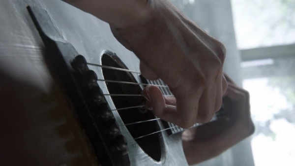 Музыка из The Last Of Us 2