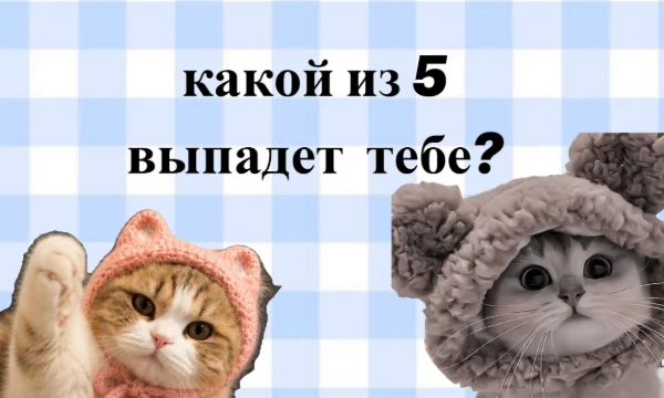 В этом тесте ты узнаешь, какой котёнок в шапочке выпадет именно тебе. Заодно проверим твой характер, узнаем много нового про тебя самого. Удачи!) (Оформление ручной работы)