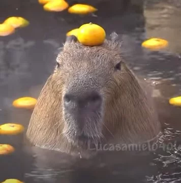 Вы долго ждали