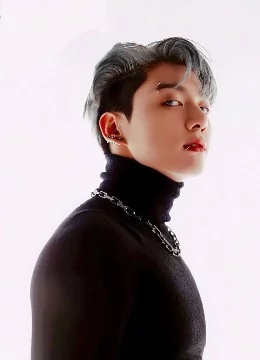 группы: Bts, BlackPink, Twice, Exo, Seventeen, Mamamoo, Got7, Red Velvet, Day6, Vixx, Monsta X, Nct, Btob, Ikon, Oh my girl, Victon, Wjsn, Pentagon, Sf9, Exid, Astro и др.