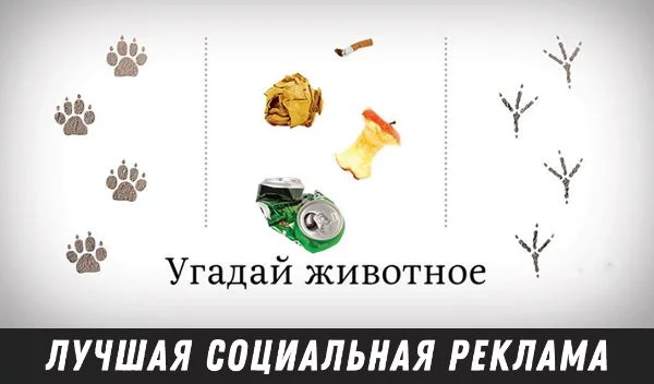 Предлагаю выбрать лучшую социальную рекламу. Она ничего не продаёт, но заставляет задуматься. После прохождения теста вы станете чуточку лучше :)