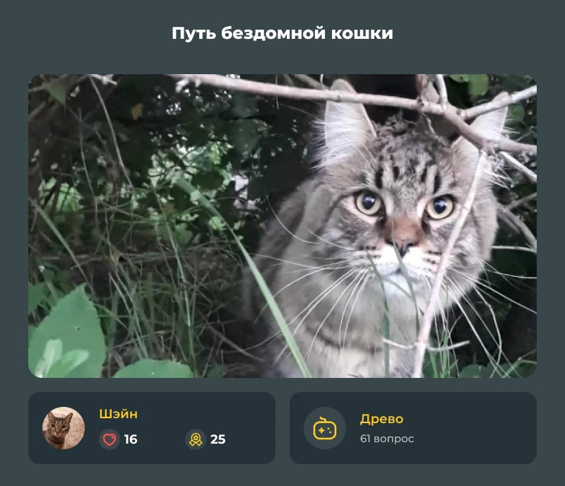 Лучшие из лучших! Апрельский дайджест 2026! Лучшие из лучших! Апрельский дайджест 2026!