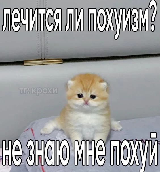 Задавайте вопросы, а я на них отвечу(возможно) Задавайте вопросы, а я на них отвечу(возможно)