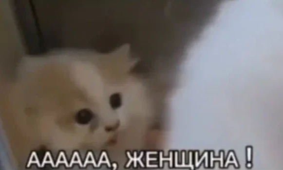 Ну тут просто большой набор тянок из разных аниме. Вот вот.