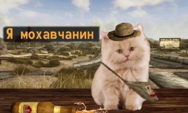 В настоящее время, мемы стали визитной карточкой некоторых игр, что повышает их популярность и узнаваемость. В тесте собраны смешные картинки, а вам нужно понять к какой игре они относятся